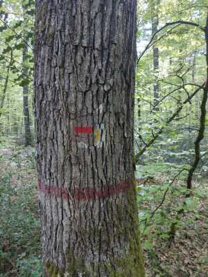 Photo prise liée au parcours