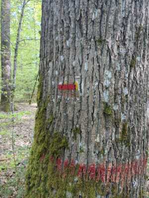 Photo prise liée au parcours
