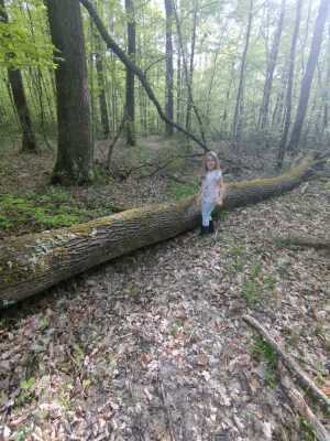Photo prise liée au parcours