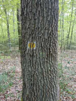 Photo prise liée au parcours