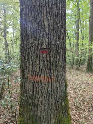 Photo prise liée au parcours