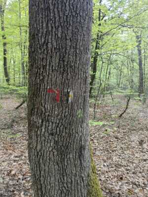 Photo prise liée au parcours