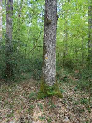 Photo prise liée au parcours