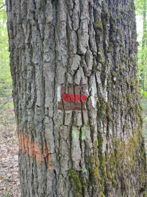 Photo prise liée au parcours
