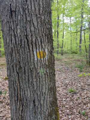 Photo prise liée au parcours