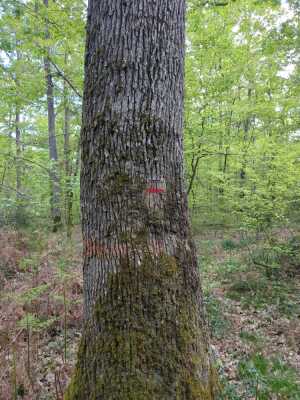 Photo prise liée au parcours