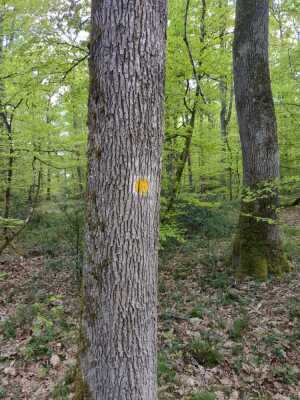 Photo prise liée au parcours