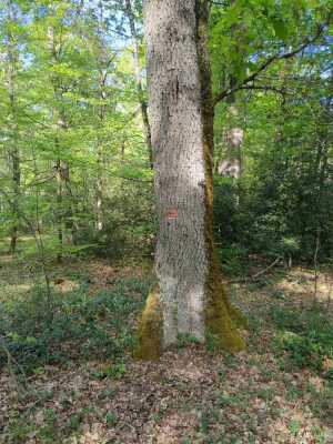 Photo prise liée au parcours