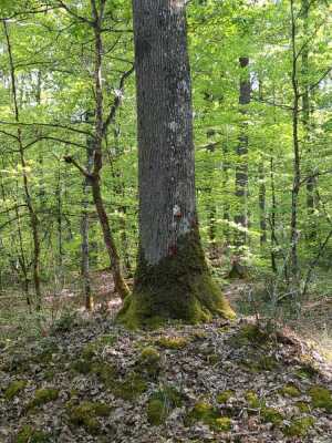 Photo prise liée au parcours