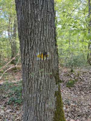 Photo prise liée au parcours