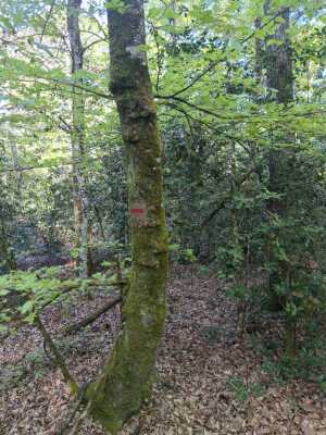 Photo prise liée au parcours