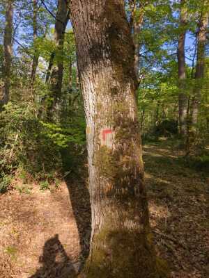Photo prise liée au parcours