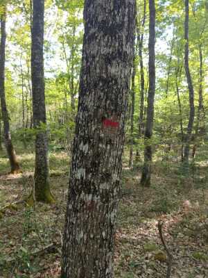Photo prise liée au parcours