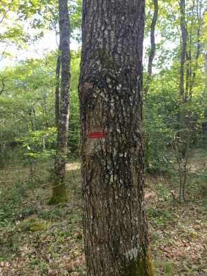 Photo prise liée au parcours