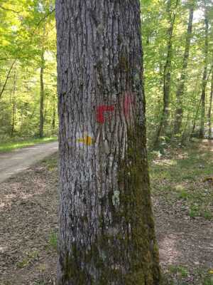 Photo prise liée au parcours
