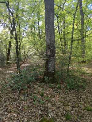 Photo prise liée au parcours