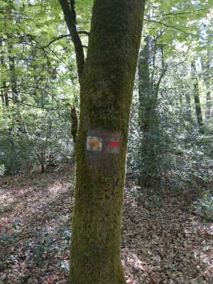 Photo prise liée au parcours