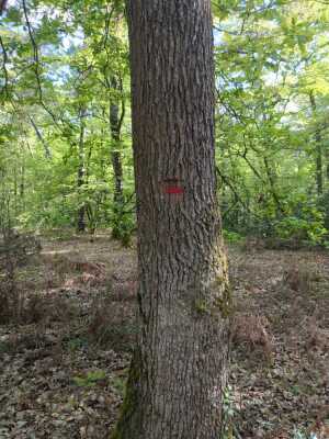 Photo prise liée au parcours