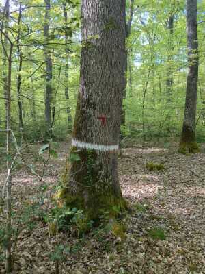 Photo prise liée au parcours