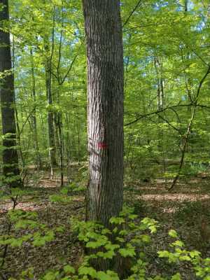 Photo prise liée au parcours