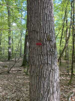 Photo prise liée au parcours