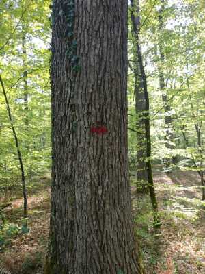 Photo prise liée au parcours