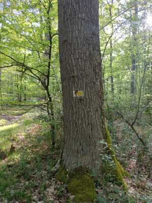 Photo prise liée au parcours