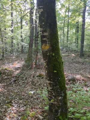 Photo prise liée au parcours