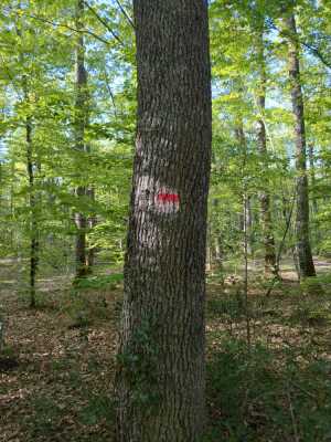 Photo prise liée au parcours