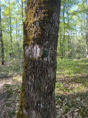 Photo prise liée au parcours