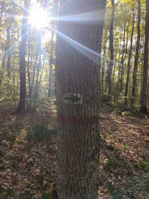Photo prise liée au parcours