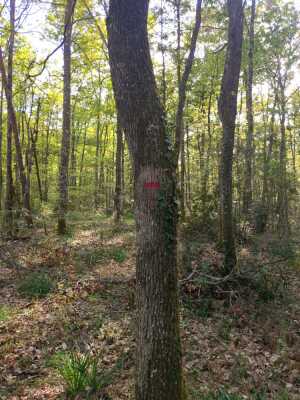 Photo prise liée au parcours