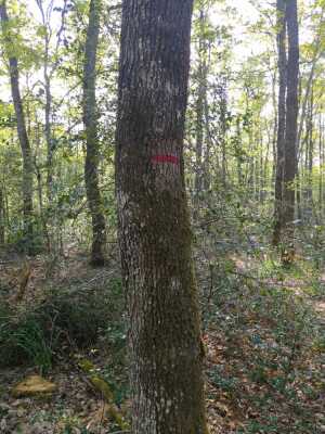 Photo prise liée au parcours