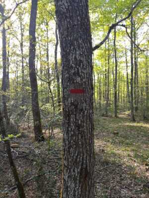 Photo prise liée au parcours