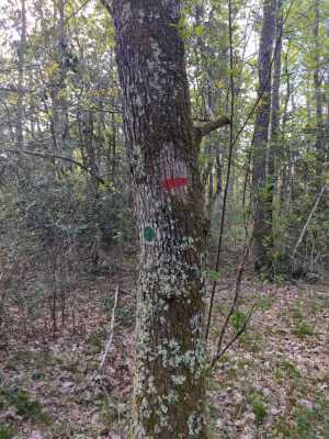 Photo prise liée au parcours