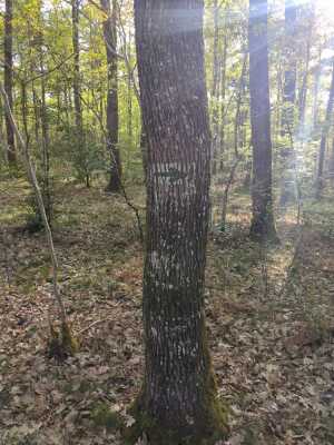 Photo prise liée au parcours