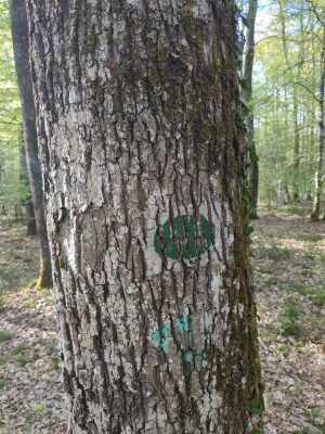 Photo prise liée au parcours