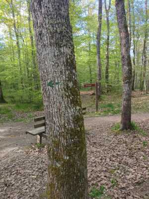 Photo prise liée au parcours