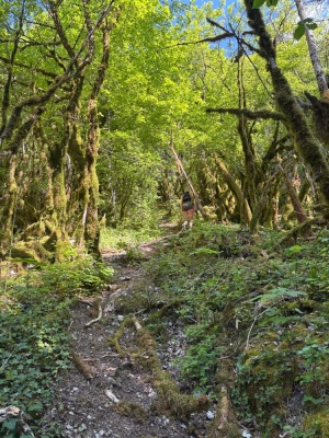 Photo prise liée au parcours