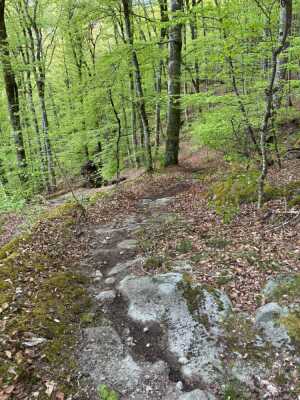 Photo prise liée au parcours