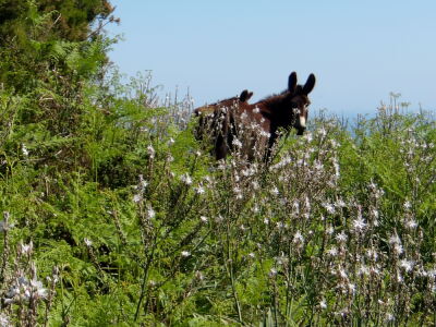 Photo prise liée au parcours