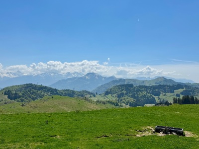 Chablais, un 1er mai - régal !! - Cluses - Photo 1