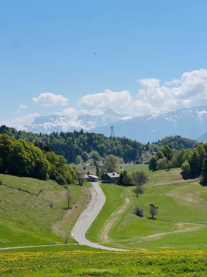 Chablais, un 1er mai - régal !! - Cluses - Photo 2
