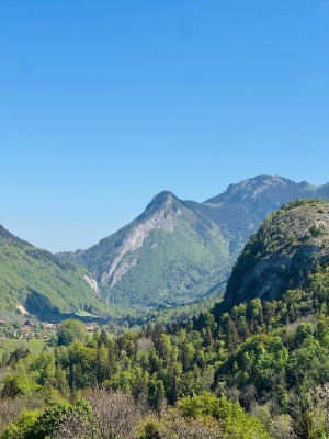 Chablais, un 1er mai - régal !! - Cluses - Photo 5
