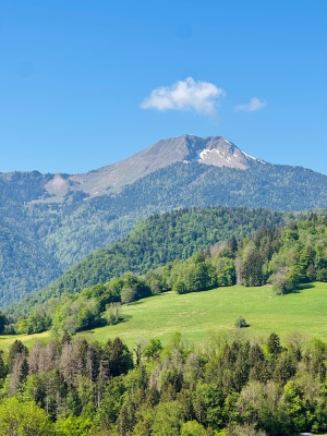 Chablais, un 1er mai - régal !! - Cluses - Photo 4