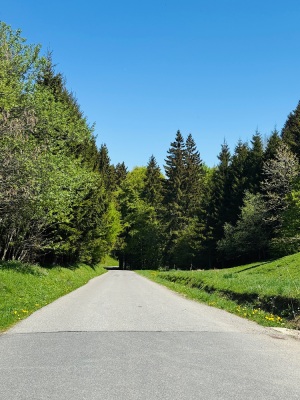 Chablais, un 1er mai - régal !! - Cluses - Photo 6