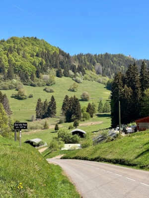 Chablais, un 1er mai - régal !! - Cluses - Photo 8