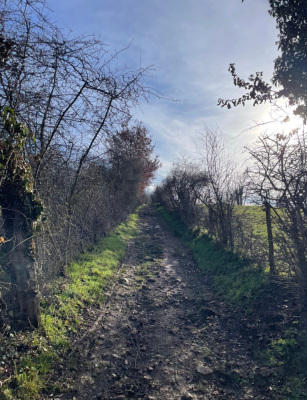 Photo prise liée au parcours