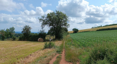 La Fleurinoise 2026 - Fleurieux-sur-l'Arbresle - Photo 5