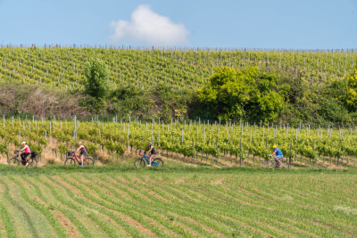 Bacchus Tours 2026 - C1 - Marlenheim - Photo 4